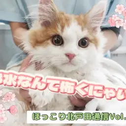 【 ほっこり北戸田通信Vol.28 】マッサージ付きのシャンプーなら頑張れる！