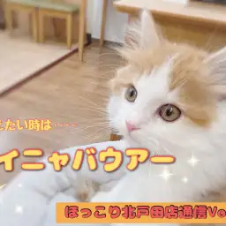 【 ほっこり北戸田通信Vol.4 】イニャバウアーポーズ