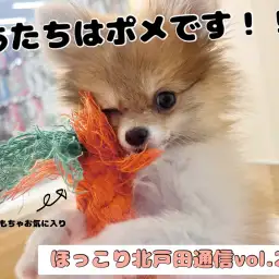 【 ほっこり北戸田通信Vol.26 】瓜二つ!?奇跡のツーショット!