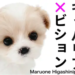 【 キャバション 】100年に一度の美女！？ご家族決定爆速の必見MIXちゃん