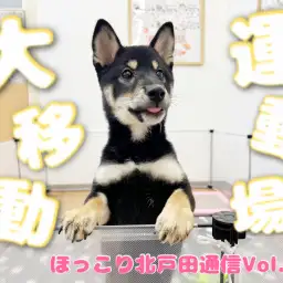 【 ほっこり北通Vol.52 】運動スペースの大移動!