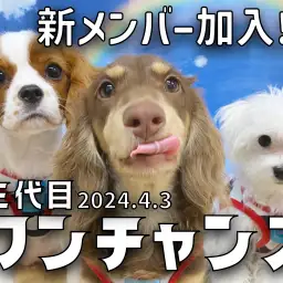 【 三代目ワンチャンズ 】新メンバーのきゃばりんが仲間入り！