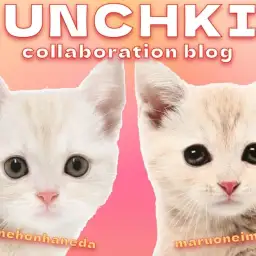 【 今宿店本羽田店コラボブログ 】答え合わせ！マンチカンマニアでSHOWタイム！