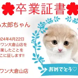 【 卒業証書 】もも太郎ちゃん卒業おめでとう!!スタッフママより愛を込めて!