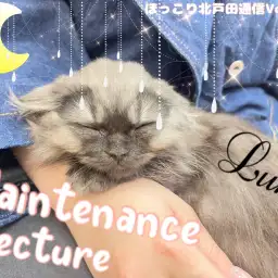 【 ほっこり北通vol.60 】卒業生のミヌちゃんがメンテナンスレクチャーに挑戦!