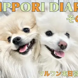 【 NIPPORI DIARY その7 】体脂肪測定会に密着!なぎ&かおん編