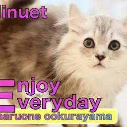 【 ミヌエット 】入店2日目マンチ座りを披露!サービス精神旺盛なイケニャン!