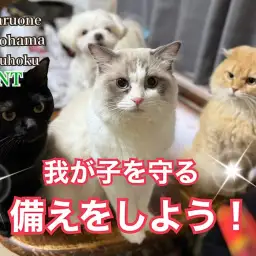 【 お役立て情報 】守れるのは飼い主さんだけ!あると安心防災グッズ