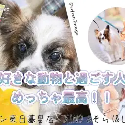 【 ファーストパートナー 】マルワン東日暮里店スタッフMINOの「そら」との出会い