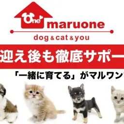【 サポート 】ペットとの生活をより良いものに!お迎え後の充実サポートご紹介