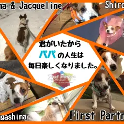 【 ファーストパートナー 】マルワン城山店&鶴ヶ島店スタッフ小川の愛犬物語
