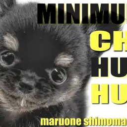 【 チワワ 】手のひらに乗る程の小さめサイズ!マロ眉が愛らしい愛され容姿の男の子