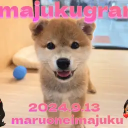 【 イマジュクグラム 】柴スマイルは究極の癒し!甘えん坊男子の最新動画公開!