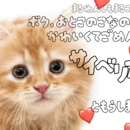 【 サイベリアン 】人への警戒心ゼロ!甘え上手な童顔フェイスの男の子!