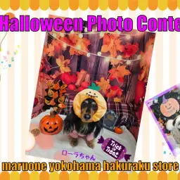 【 お知らせ 】白楽店ハロウィンフォトコンテスト開催!