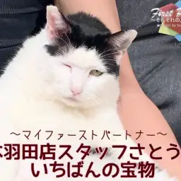 【 ファーストパートナー 】マルワン本羽田店スタッフさとうの愛猫物語！