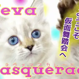 【 ネヴァマスカレード 】超美猫!横浜元町店に仮面舞踏会への招待状?!
