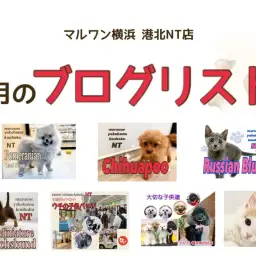 【 ブログリスト 】マルワン港北NT店9月のブログ記事まとめ