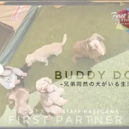 【 ファーストパートナー 】マルワン下丸子店スタッフ長谷川と娘の相棒物語！