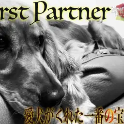 【 ファーストパートナー 】マルワン大和相模大塚店スタッフ山部の愛犬物語！