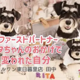 【 ファーストパートナー 】マルワン東日暮里店スタッフ田中の1番の推しをご紹介！