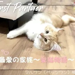 【 ファーストパートナー 】マルワン城山店スタッフ金子の愛猫物語！