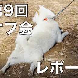 【 オフ会 】総勢23頭が集結した第9回オフ会レポート!