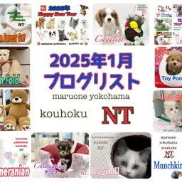 【 ブログリスト 】マルワン横浜 港北NT店1月のブログ記事まとめ