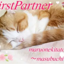 【 ファーストパートナー 】マルワン北戸田店スタッフ増渕の愛猫物語！