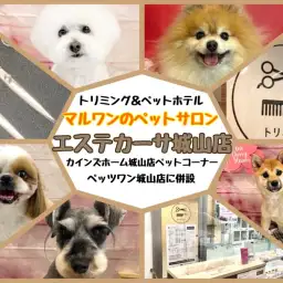 【お迎え後も安心】お手入れについてトリマーにも相談できるペッツワン城山店