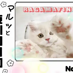 【 マルっと東川口日和No.15 】気づけば虜に、注目度急上昇のラガマフィン