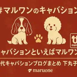 【 まとめ 】キャバションといえばマルワン!下丸子店歴代キャバションの記事紹介