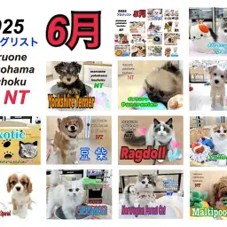 【 ブログリスト 】マルワン横浜 港北NT店6月のブログ記事まとめ