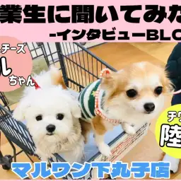 【 下丸子店卒業生インタビューVol.2 】愛犬との出会いから広がる優しい世界