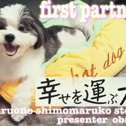 【 ファーストパートナー 】マルワン下丸子店スタッフ小原の愛犬物語！