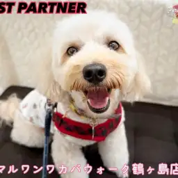 【 ファーストパートナー 】ワカバウォーク鶴ヶ島店小島の愛犬物語！