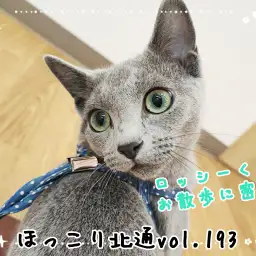 【 ほっこり北通vol.193 】適応能力抜群！ロッシーくんのお散歩に密着！