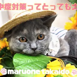 【 お迎え後のポイント熱中症対策前編 】暑さ強まるこの時期を上手に乗り切ろう！