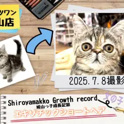 【 エキゾチック 】 城山っ子成長報告！2025年7月9日