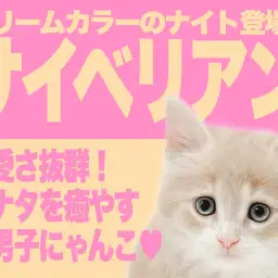 【 サイベリアン 】ひとり暮らしの女性におすすめしたいクリームカラーの素敵なナイト!
