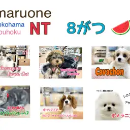 【 ブログリスト 】マルワン横浜 港北NT店8月のブログ記事まとめ