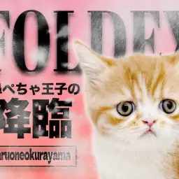 【 フォールデックス 】独特な表情がクセになる可愛さと魅惑のマシュマロボディ!