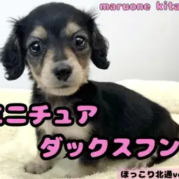 【 ほっこり北通vol215 】北戸田店イチの穏やかフレンドリーgirlが入店！