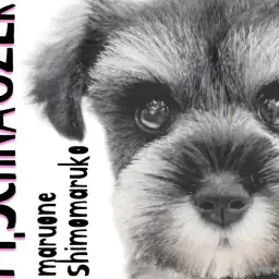 【 ミニチュアシュナウザー 】優しいルックスと賢さが魅力の暮らしを彩る相棒犬!