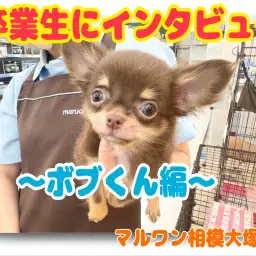 【 卒業生インタビュー 】この子に決めた!マルワンユーザーにお話し聞きました!