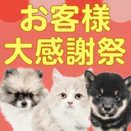 【 お客様大感謝祭 】マルワンサンタからクリスマスプレゼント企画スタート！