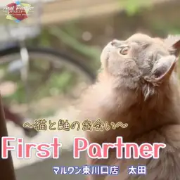【 ファーストパートナー 】マルワン東川口店スタッフ太田の愛猫物語！