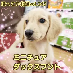 【 ほっこり北通vol.243 】おっとりダッちゃんシャンプーも余裕でクリア！