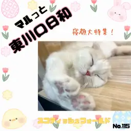 【 マルッと東川口日和No.115 】スコちゃんの成長を寝顔と共に振り返ろう！