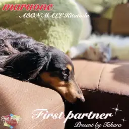 【 ファーストパートナー 】マルワンイオンモール北戸田店スタッフ田原の愛犬物語!
